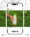 2. Adver Glow Moringa.webp